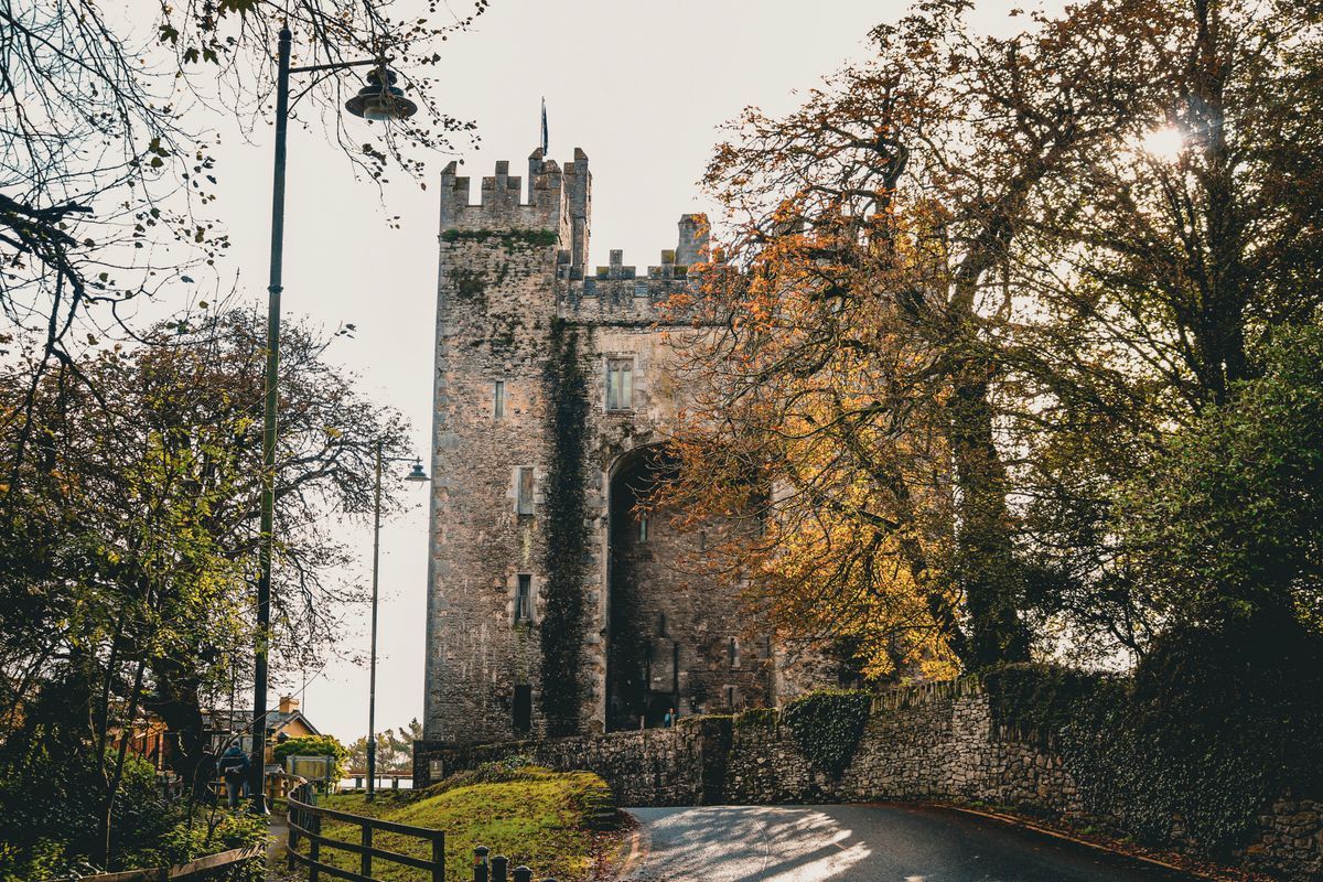 Bunratty Castle tower behind autumn trees beside the road