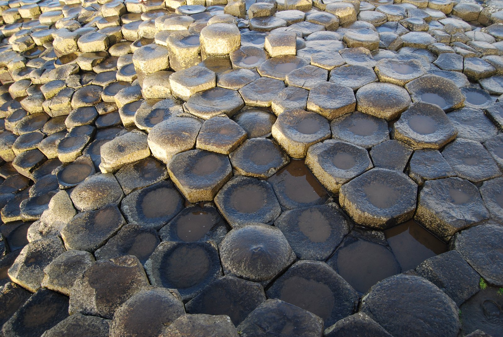 Warm evening light on the flat tops of the Giant's Causeway columns