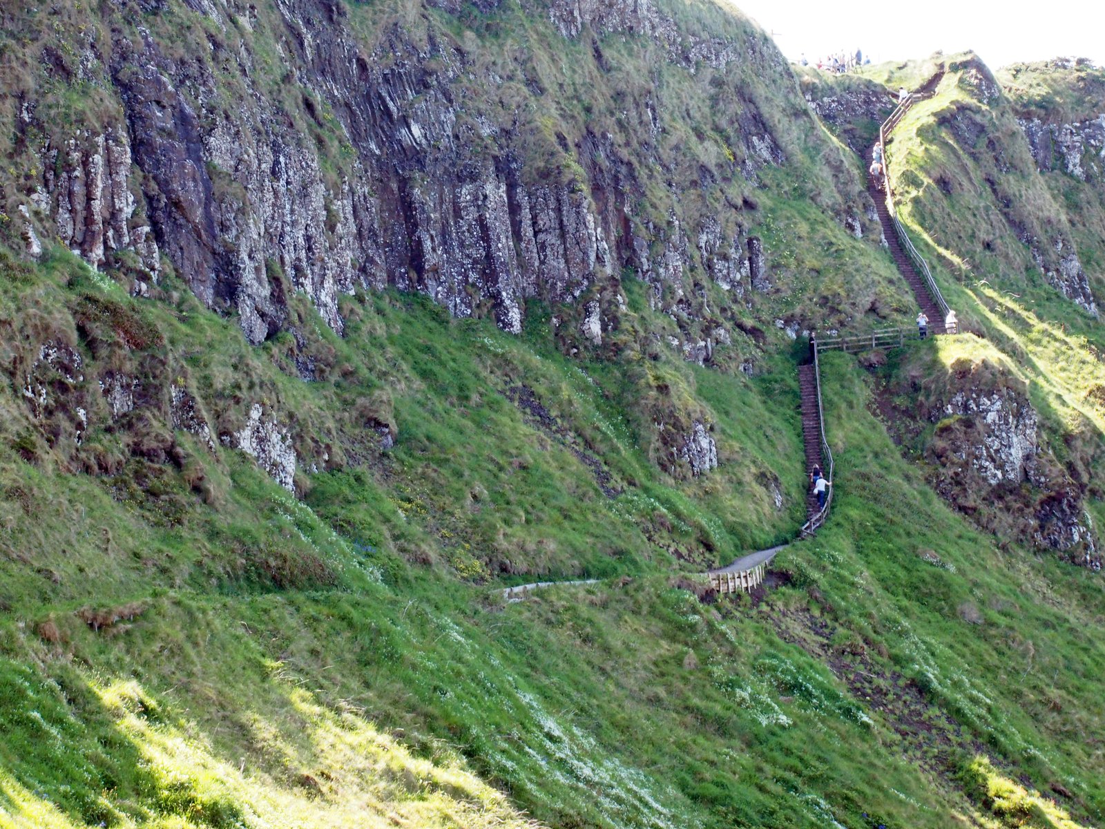 A steep staircase path climbing the green cliff above the Giant's Causeway