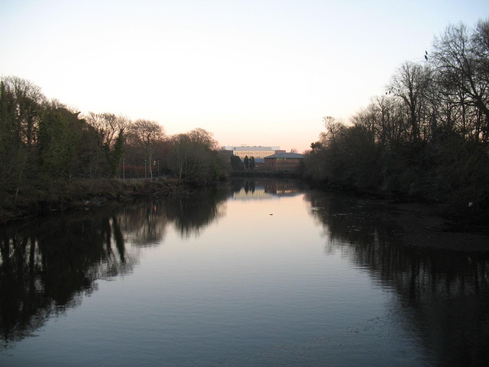 The River Lee and tree-lined banks viewed from Mardyke Bridge