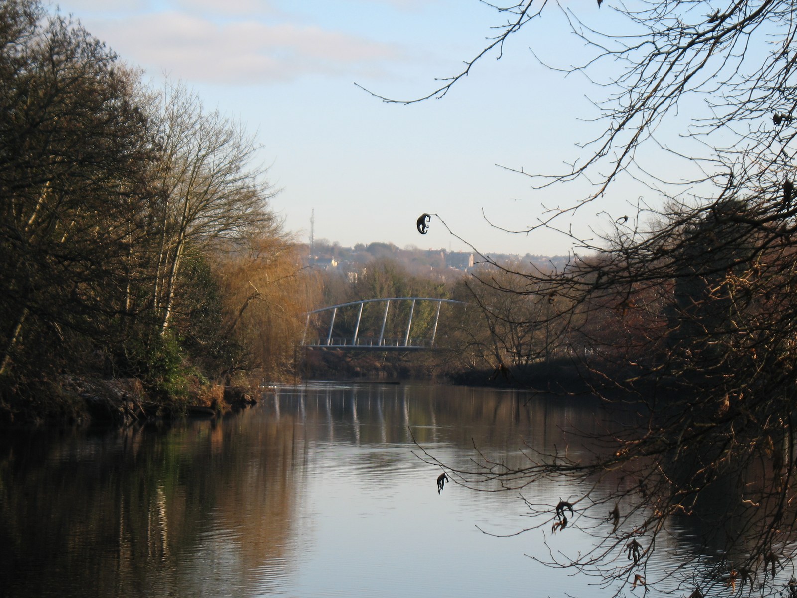 The River Lee and Mardyke Bridge beside Fitzgerald Park in Cork