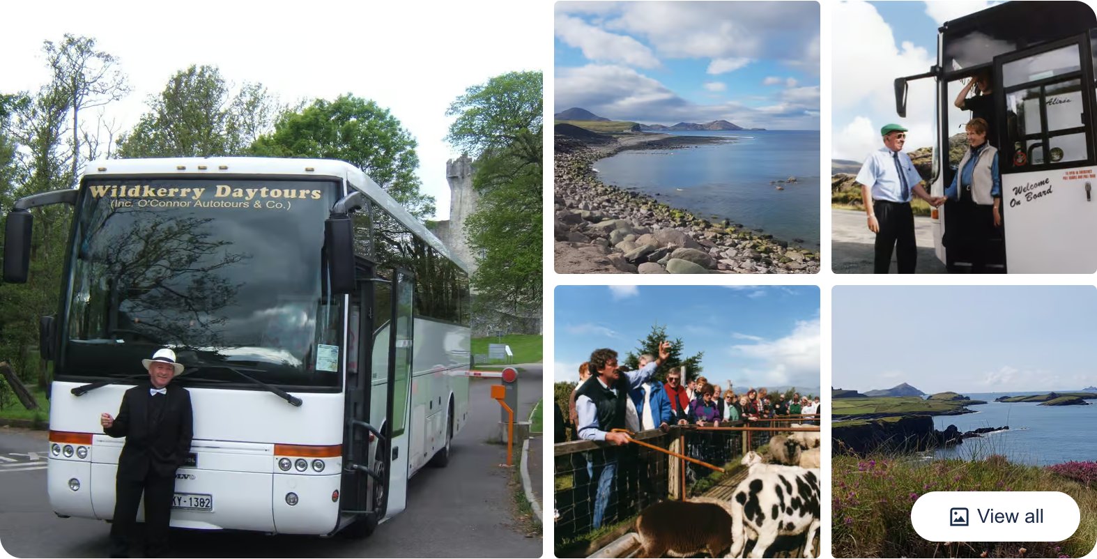 From Killarney: Ring of Kerry Mountain Road 1-Day Bus Tour
