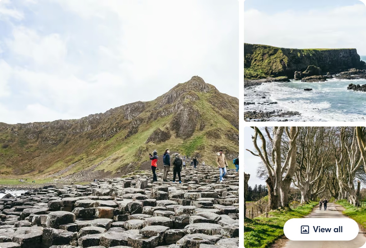 Giant’s Causeway, coastal cliffs, and the Dark Hedges on the full-day Belfast trip