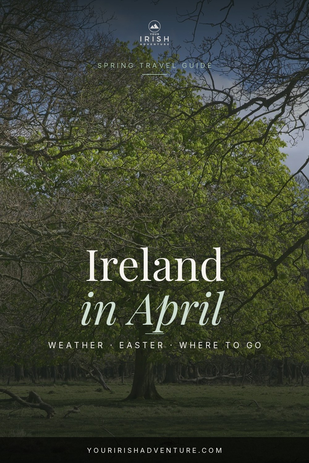 Ireland in April guide with Phoenix Park trees in spring
