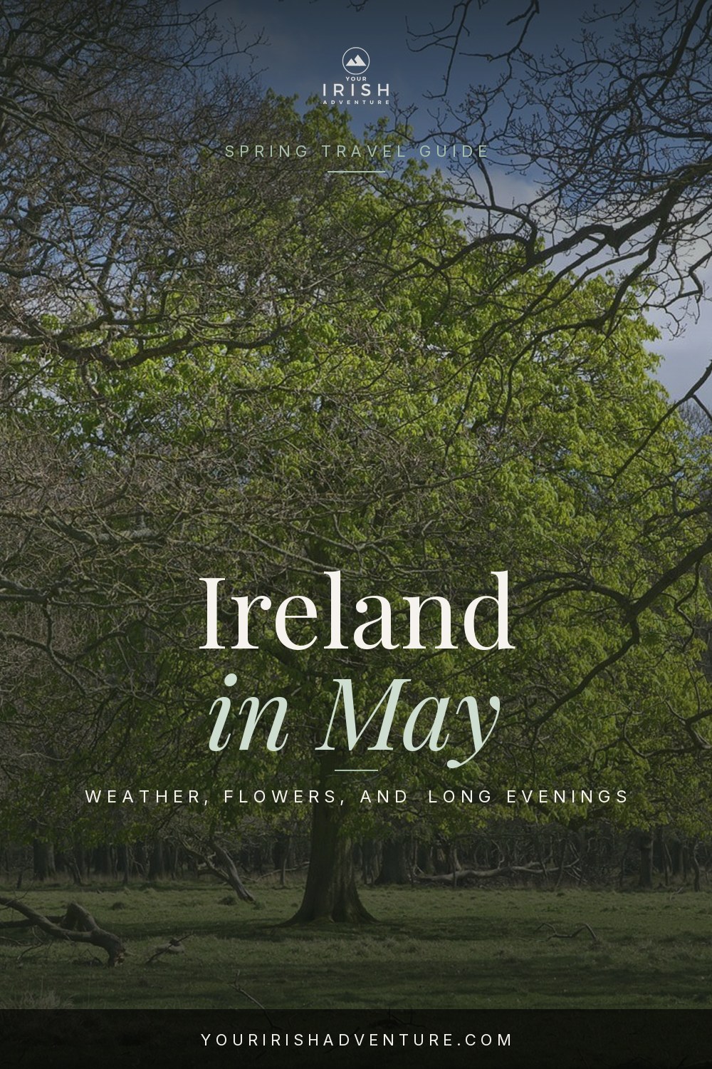 Ireland in May guide with spring trees in Dublin