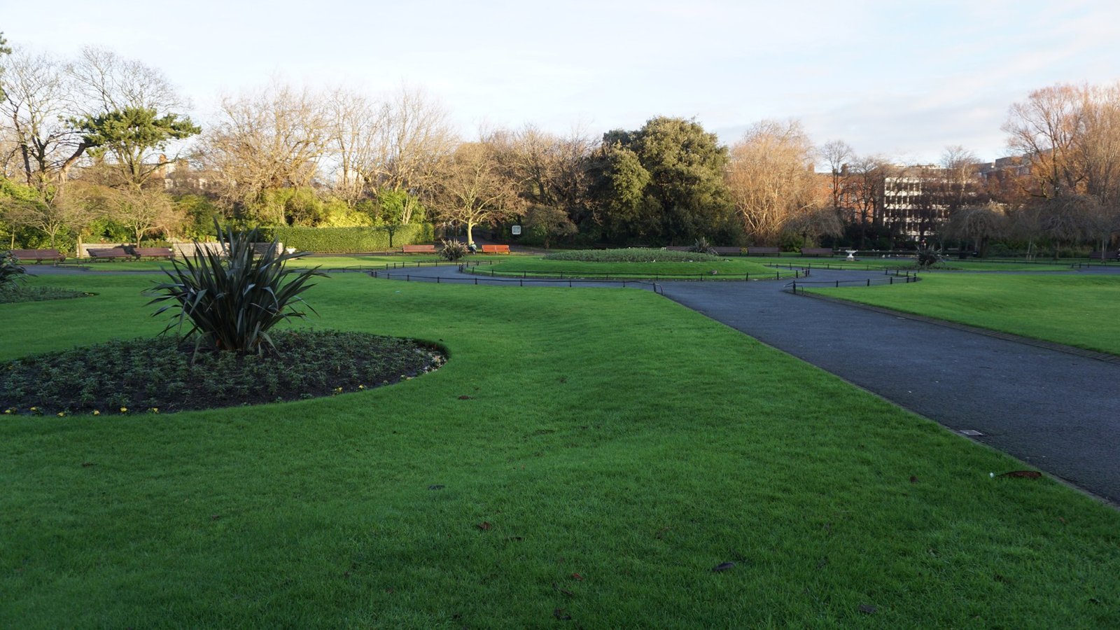 Winter trees and green lawns in Dublin for our Ireland in January guide