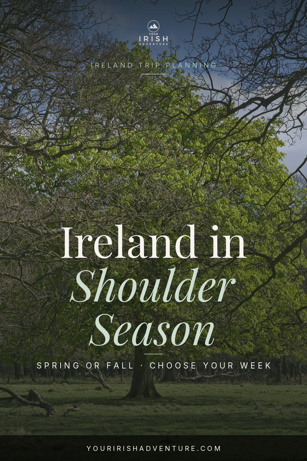 Ireland shoulder season travel pin with Phoenix Park spring trees