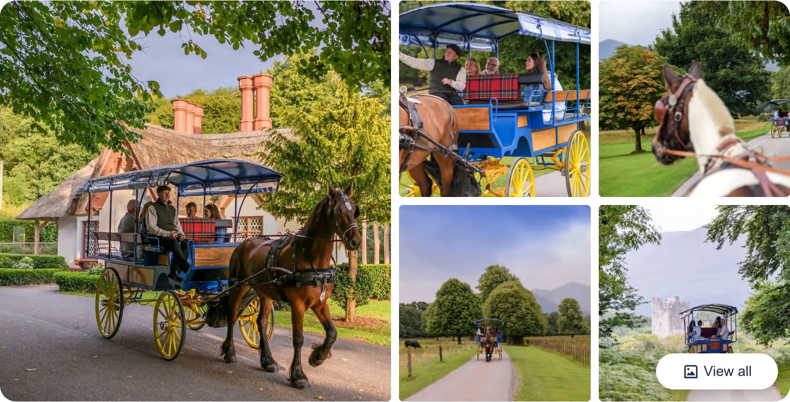 Killarney: 1-Hour Jaunting Car Horse and Carriage Tour