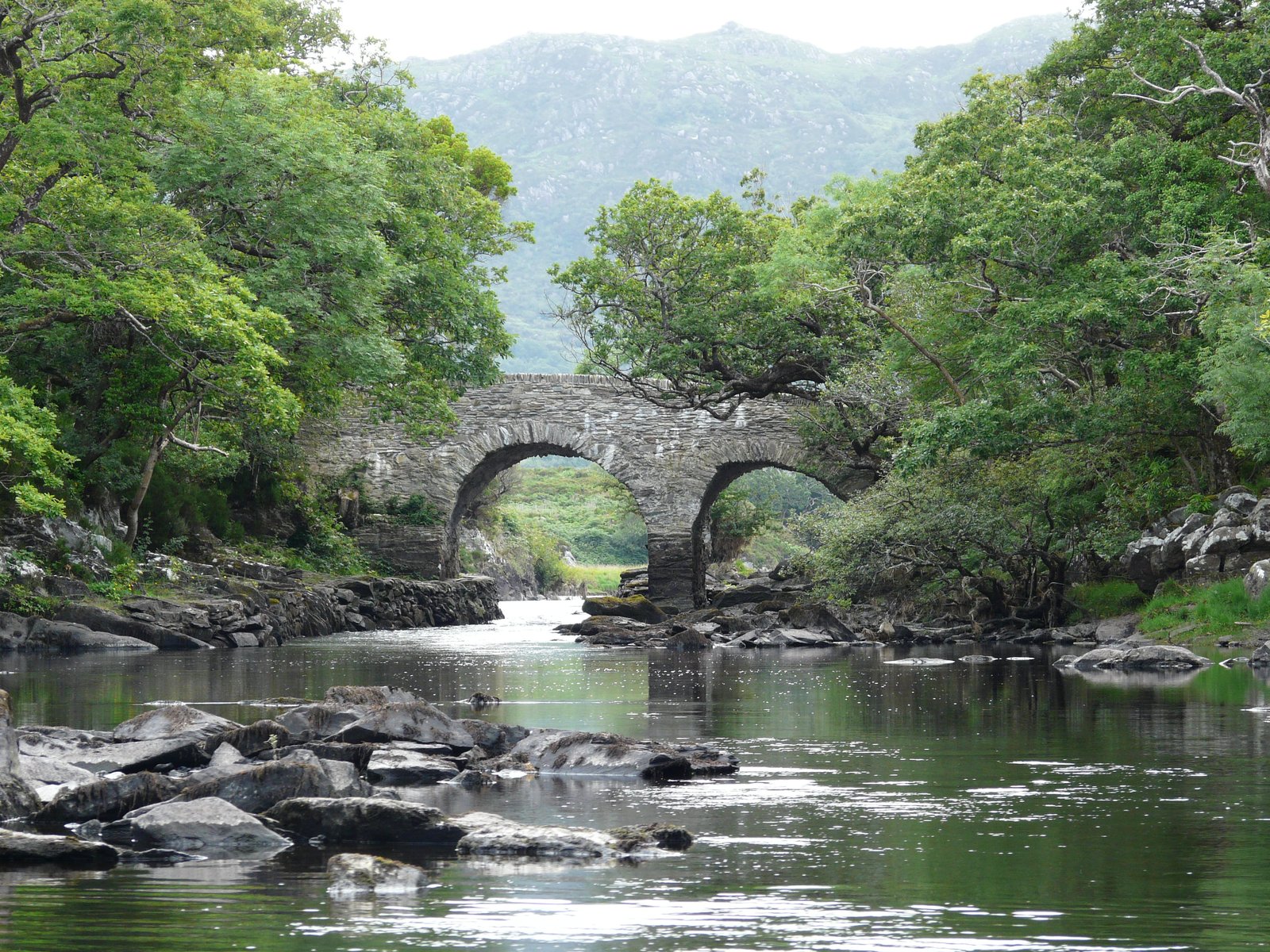 Old Weir Bridge surrounded by trees in Killarney National Park