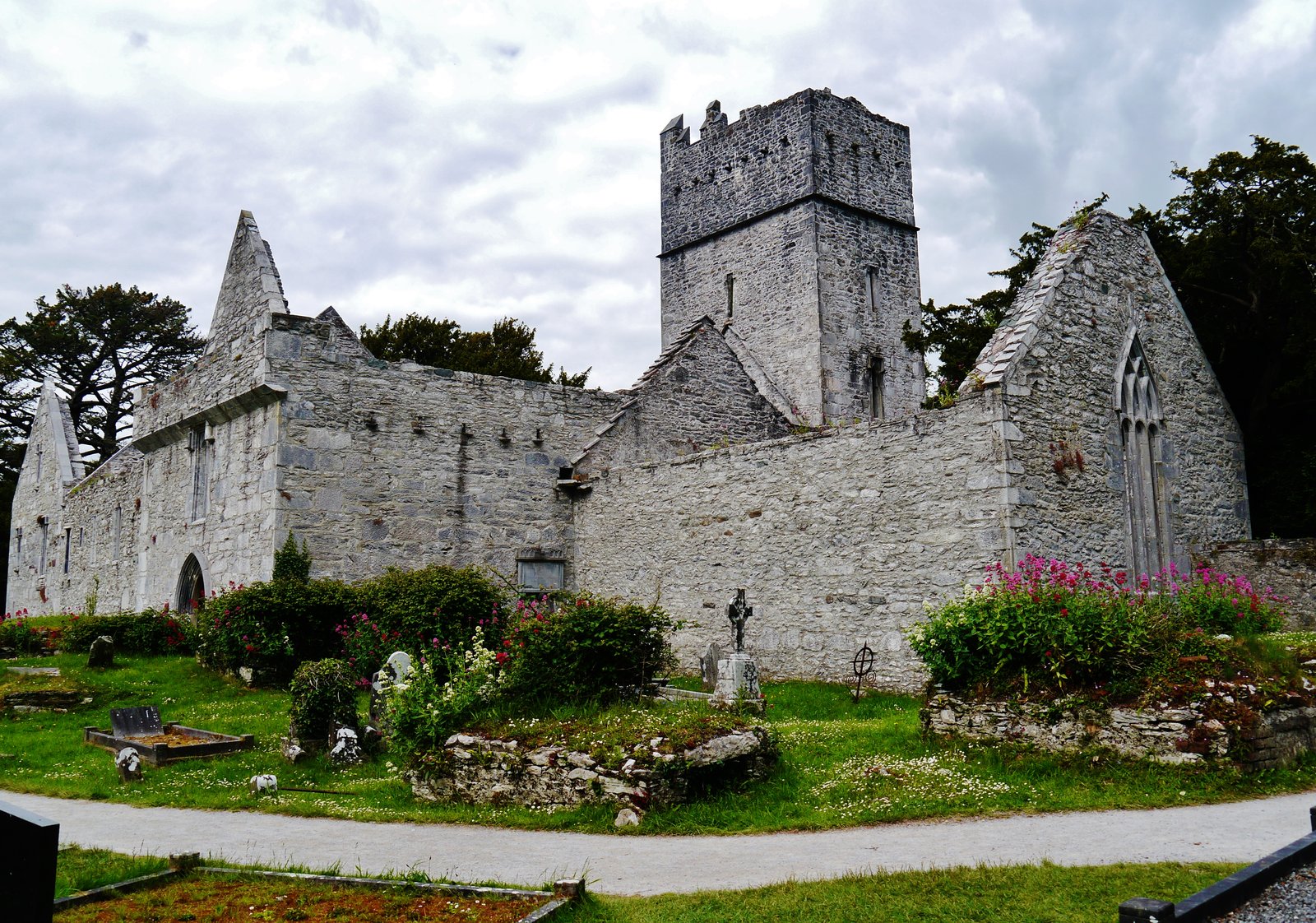 Muckross Abbey ruins in Killarney National Park
