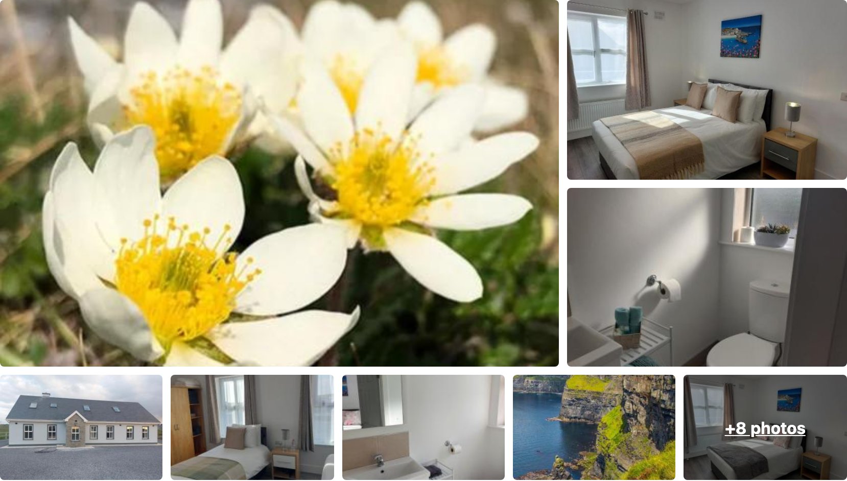 Mountain Aven Guest House
