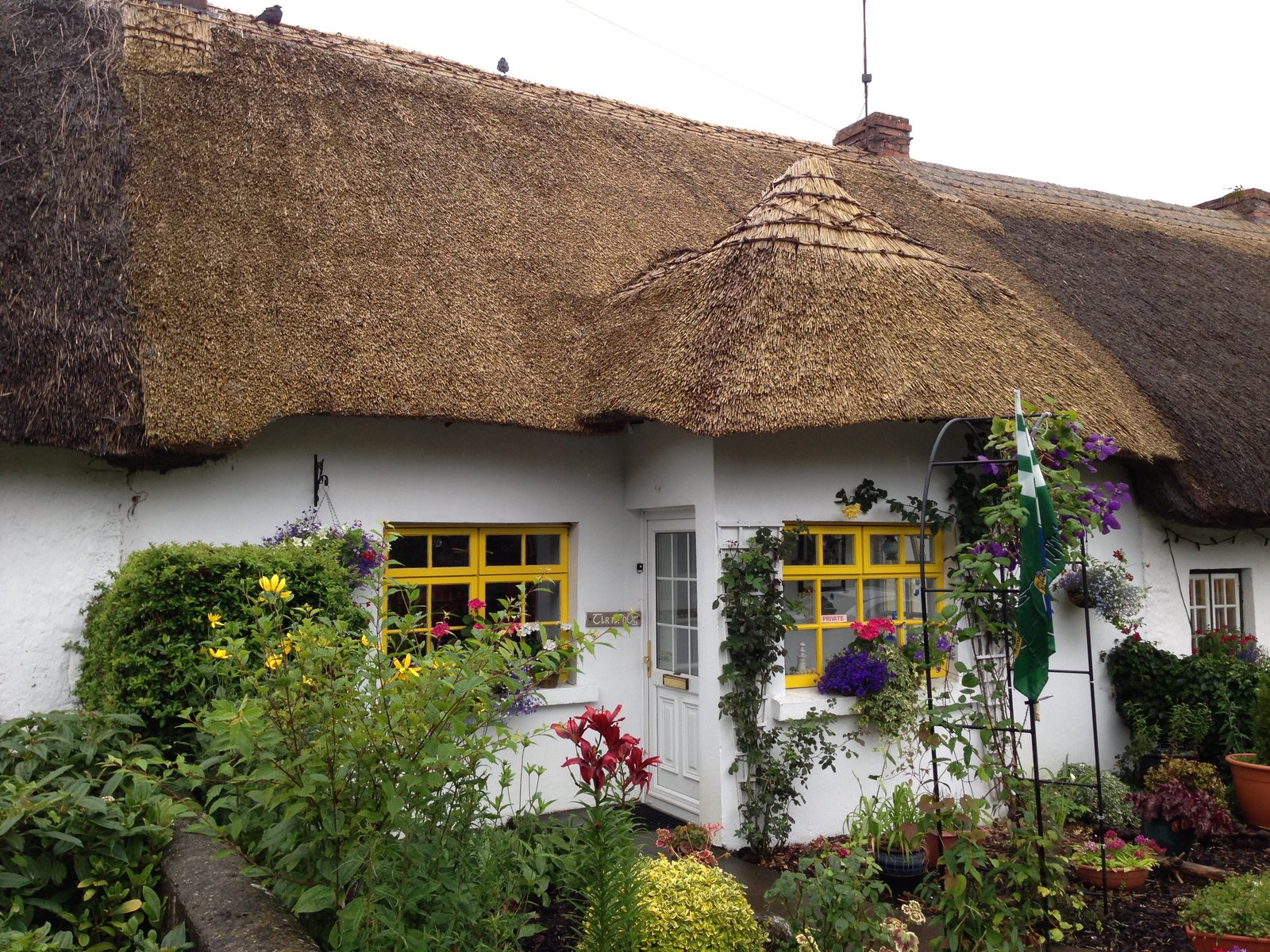 Thatched cottage with yellow window frames in Adare, County Limerick