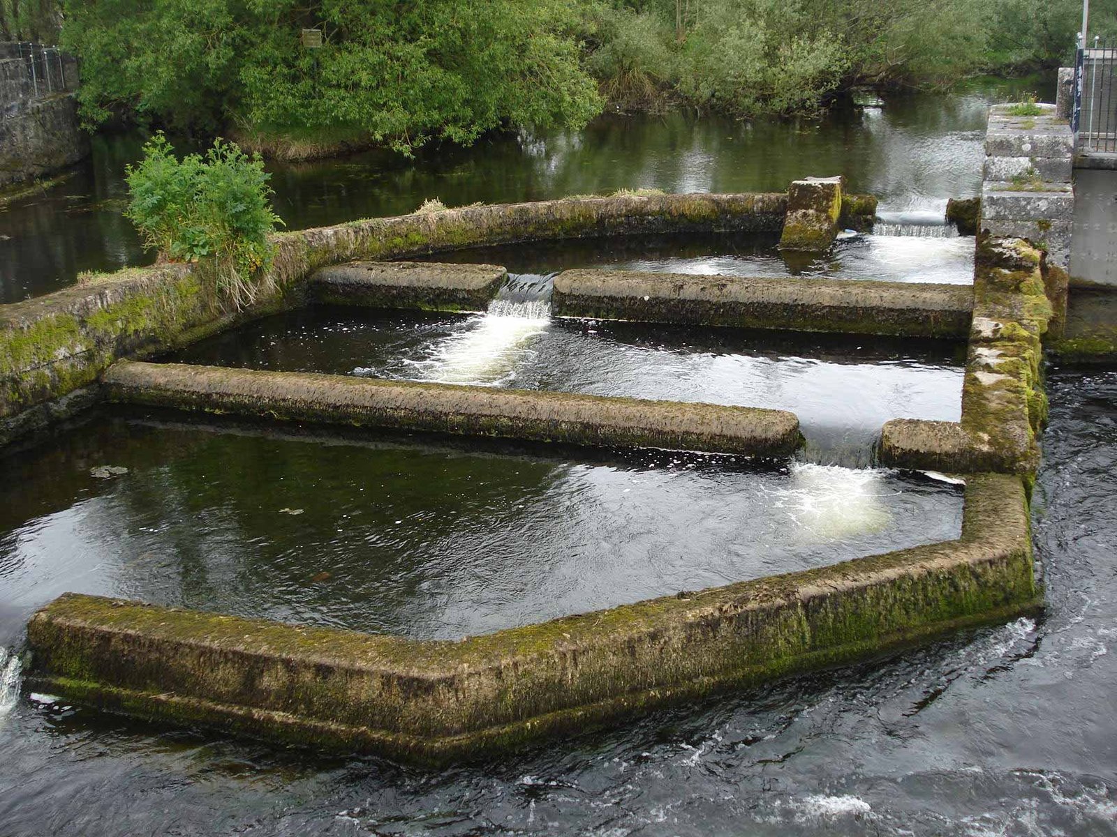 Fish ladder in the River Fergus in Ennis