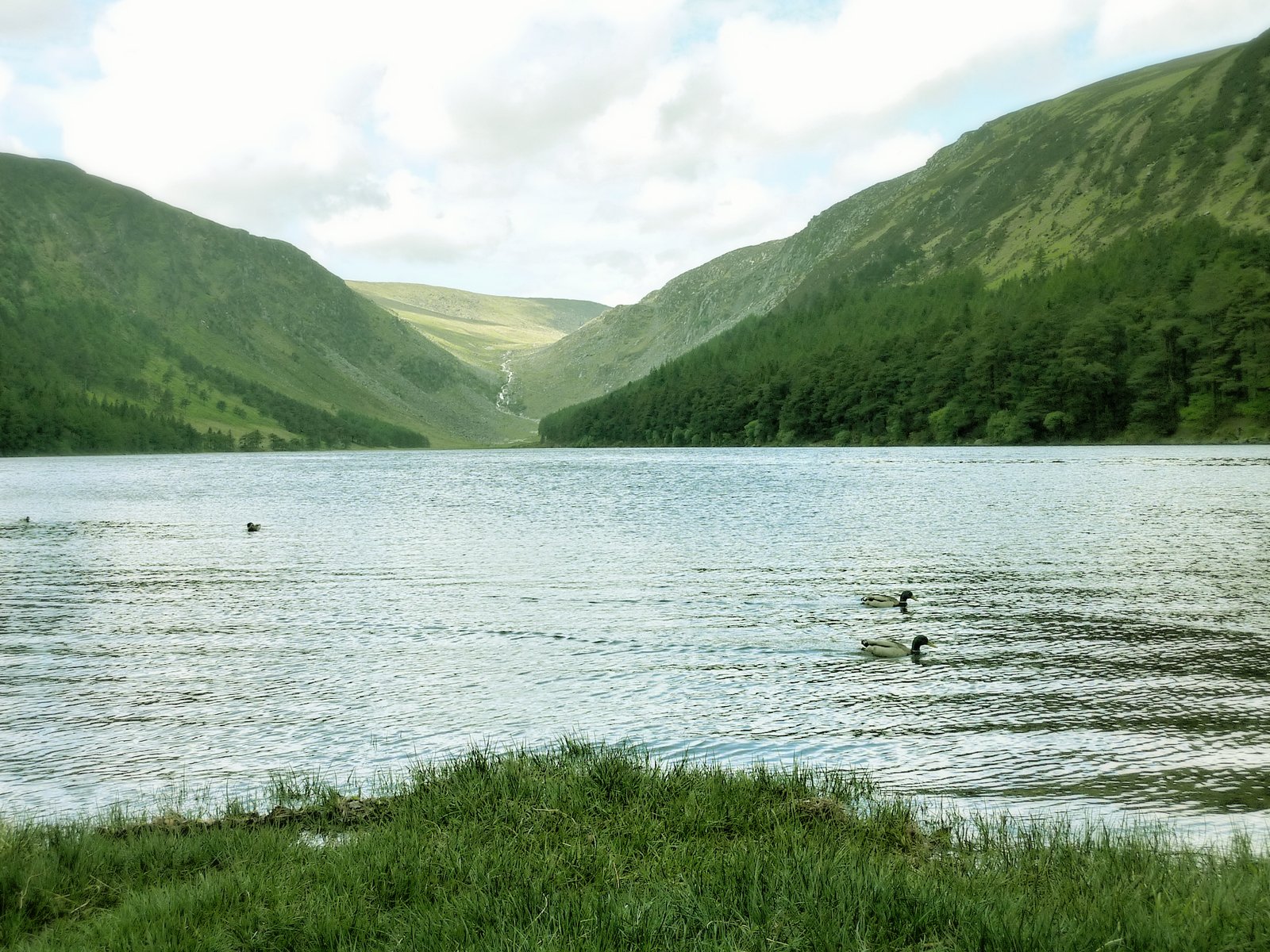 Glendalough Upper Lake between wooded hills in County Wicklow