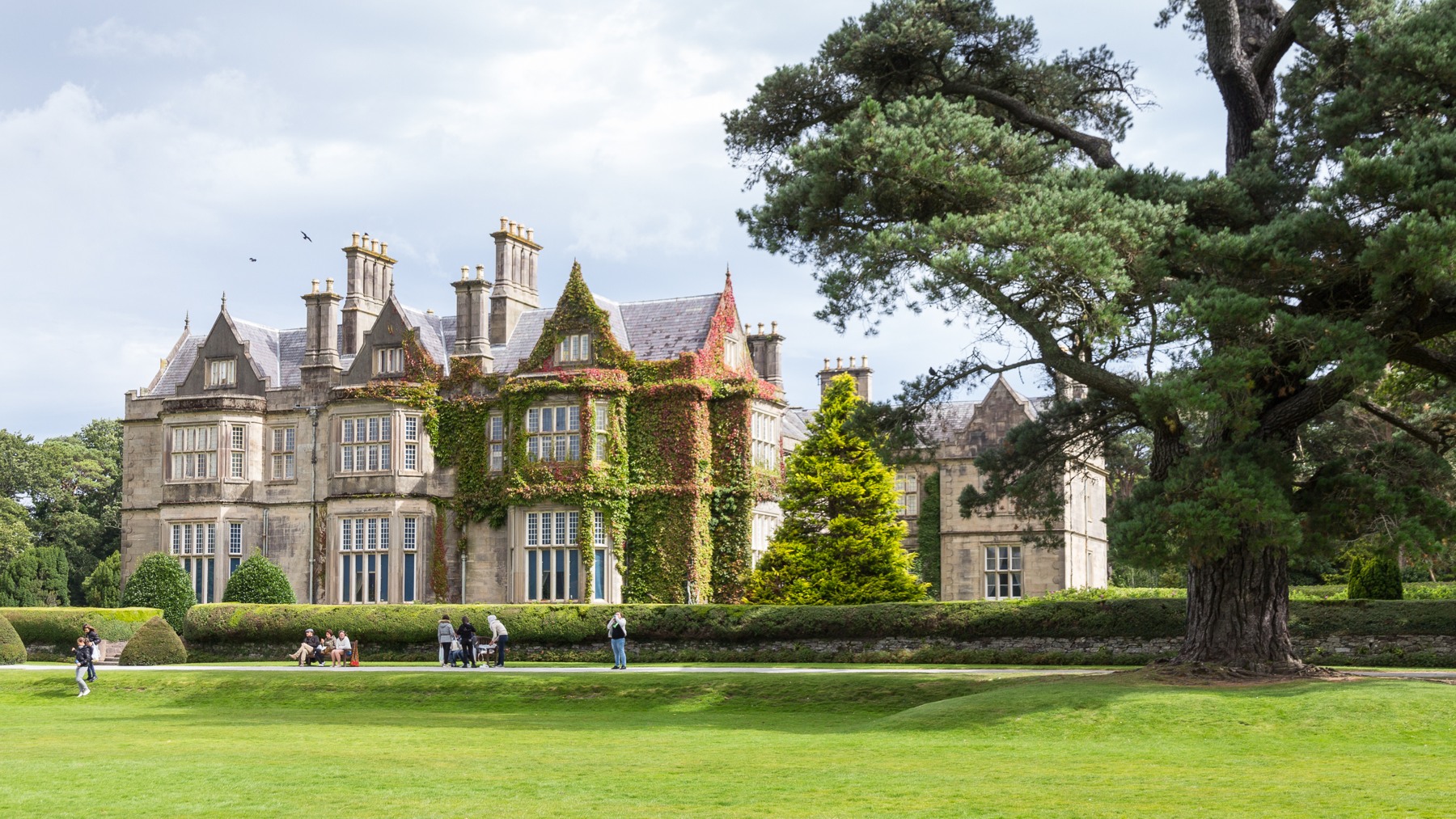 Muckross House and its lawn framed by a large tree in Killarney National Park