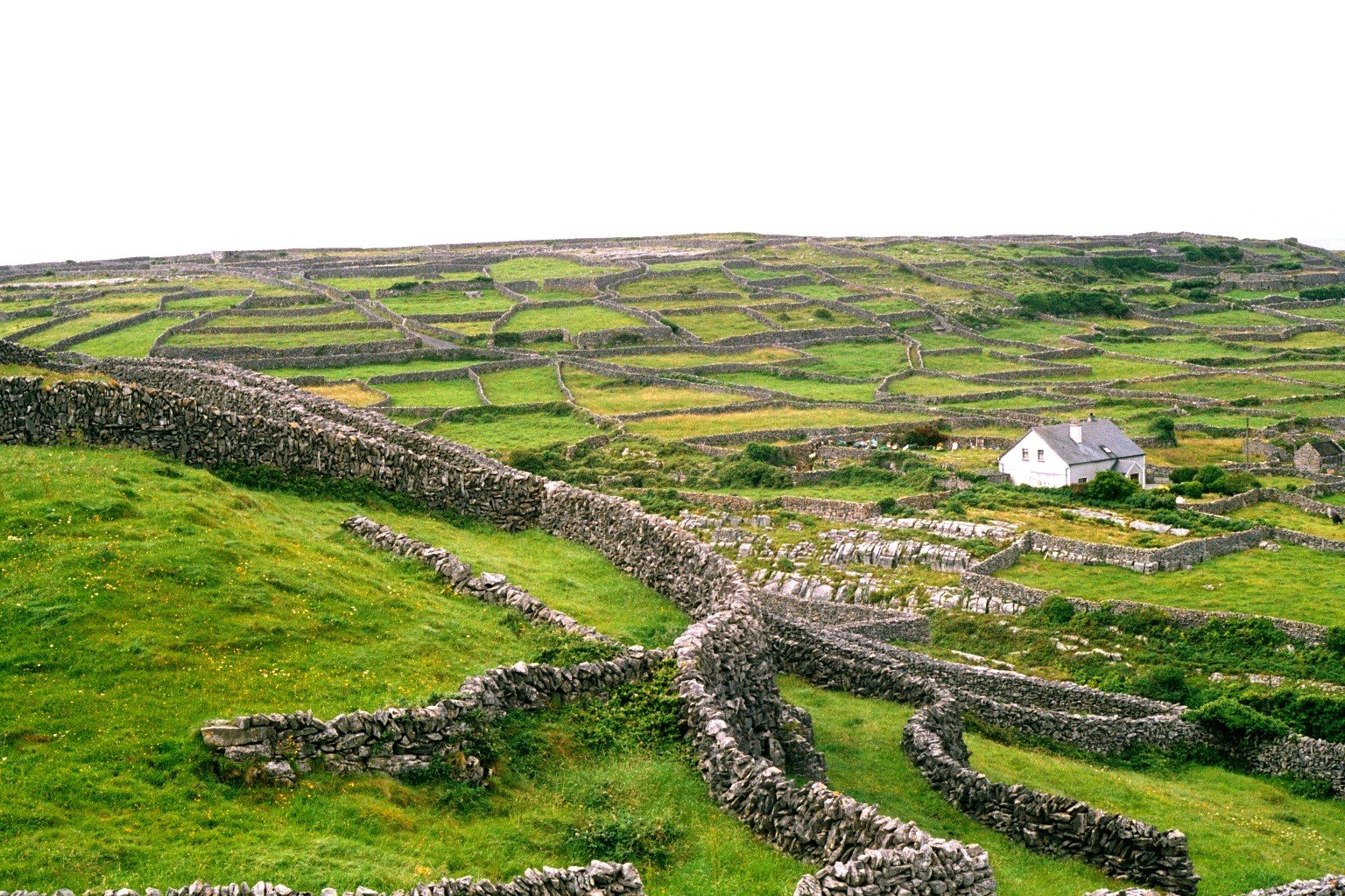 Stone-walled fields and a white house on Inis Oírr