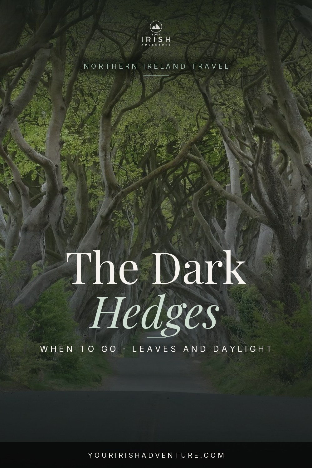 Dark Hedges seasonal travel planning pin 1