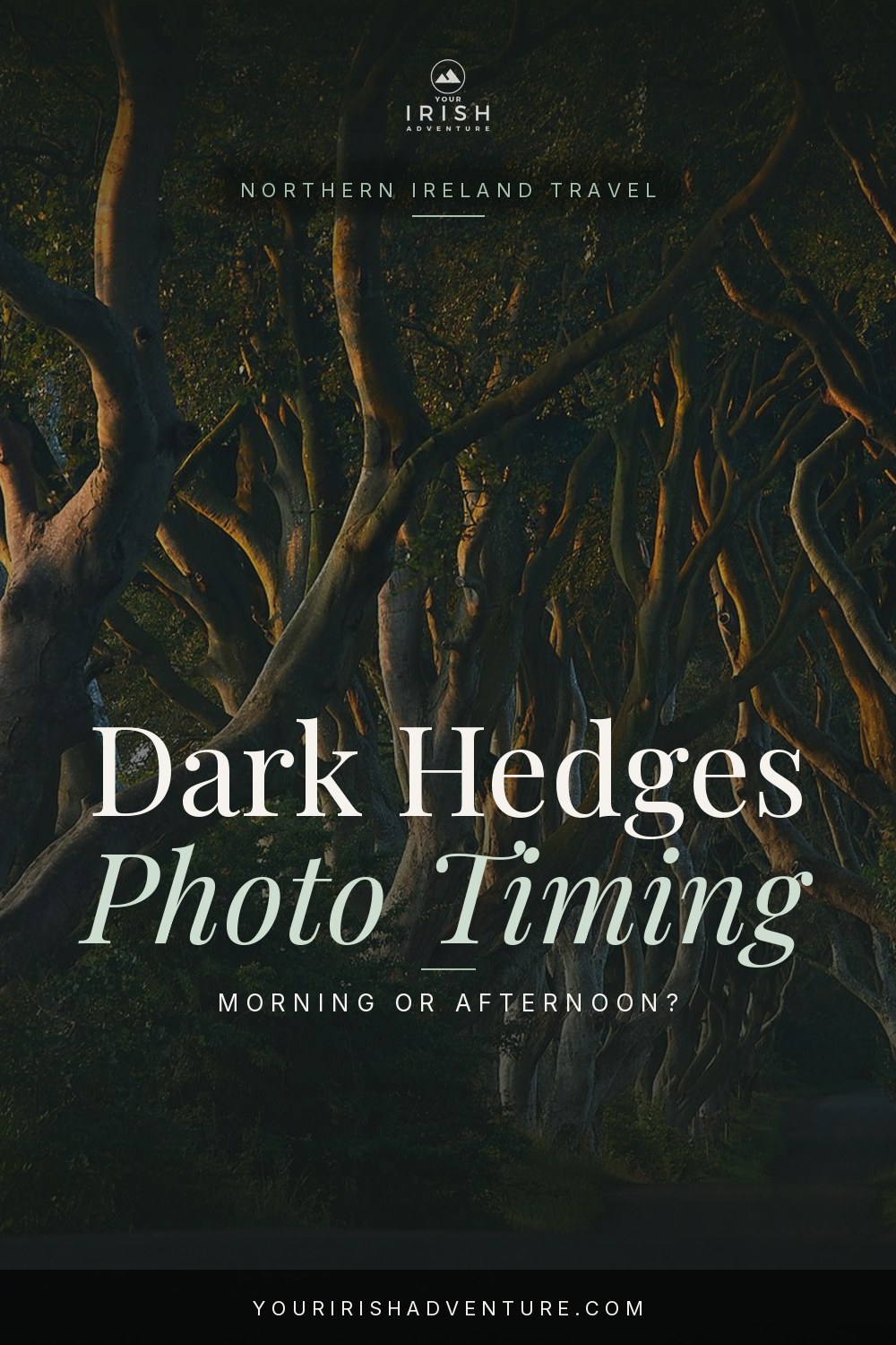 Dark Hedges seasonal travel planning pin 2
