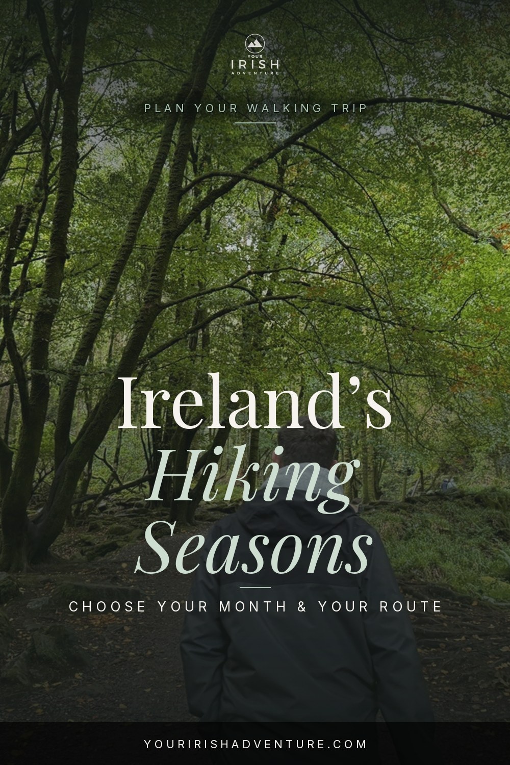 Ireland hiking seasons guide over a woodland trail in Killarney