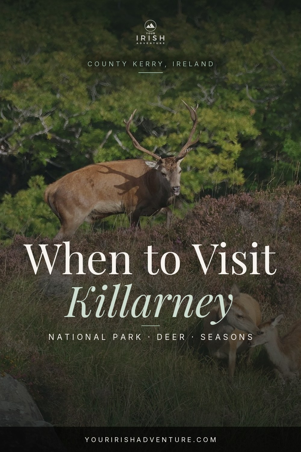 Killarney National Park seasonal planning pin 2