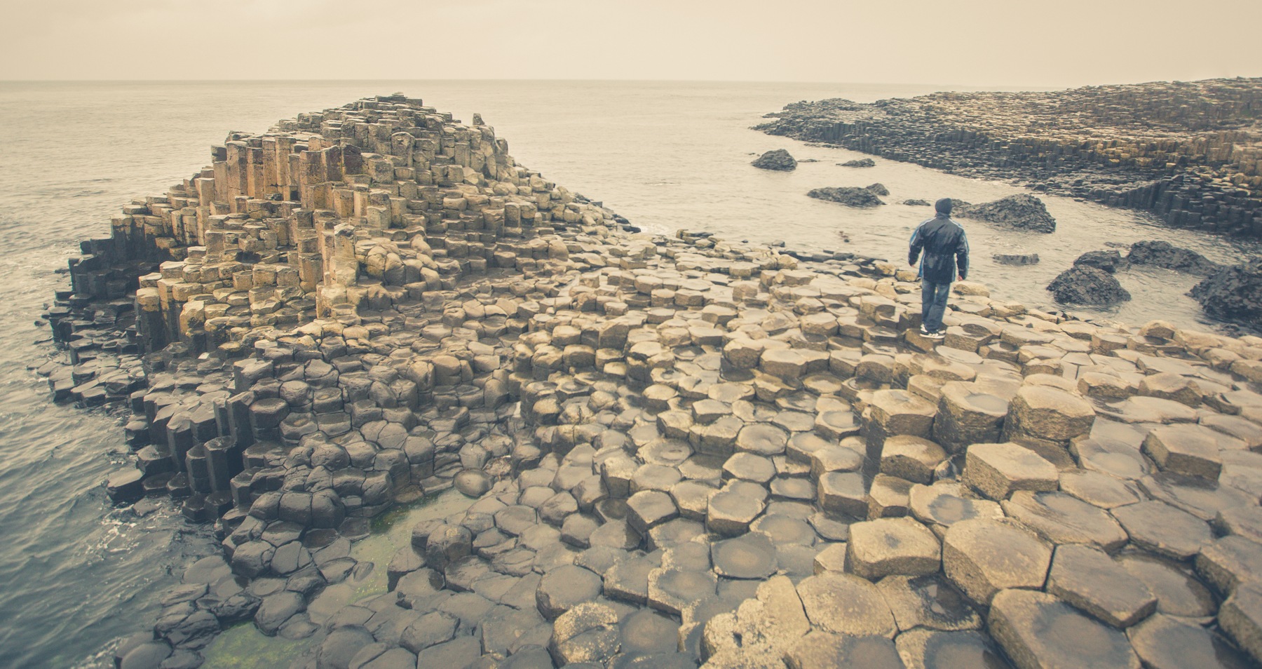 Wet basalt columns and sea at the Giant’s Causeway