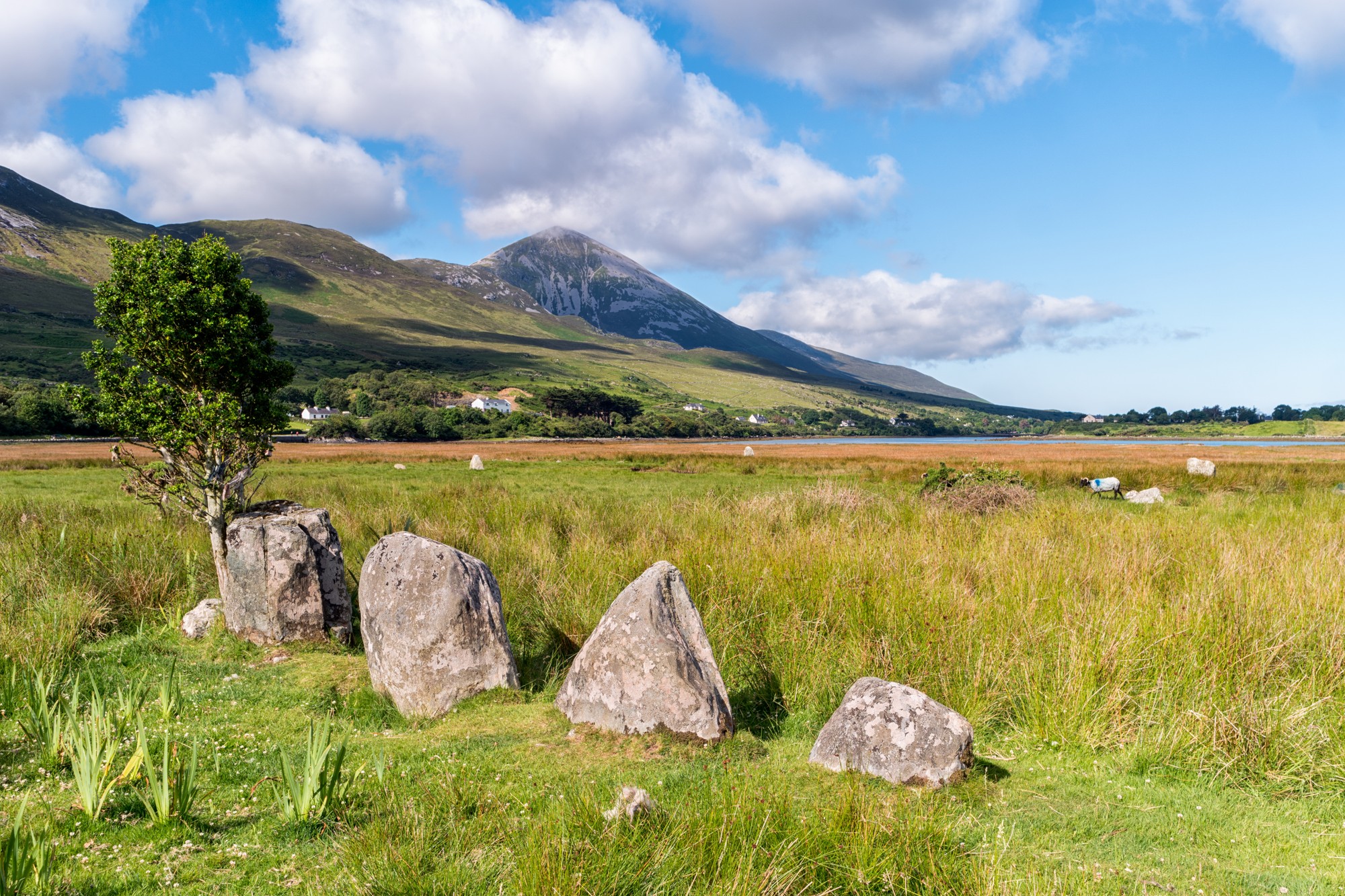 Croagh Patrick above Clew Bay with standing stones in the foreground