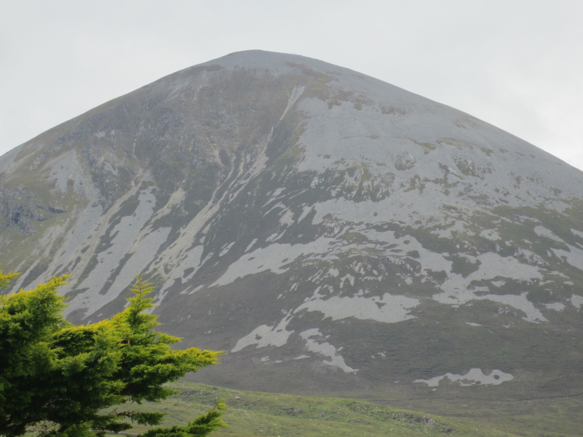 Croagh Patrick rising above trees near its base