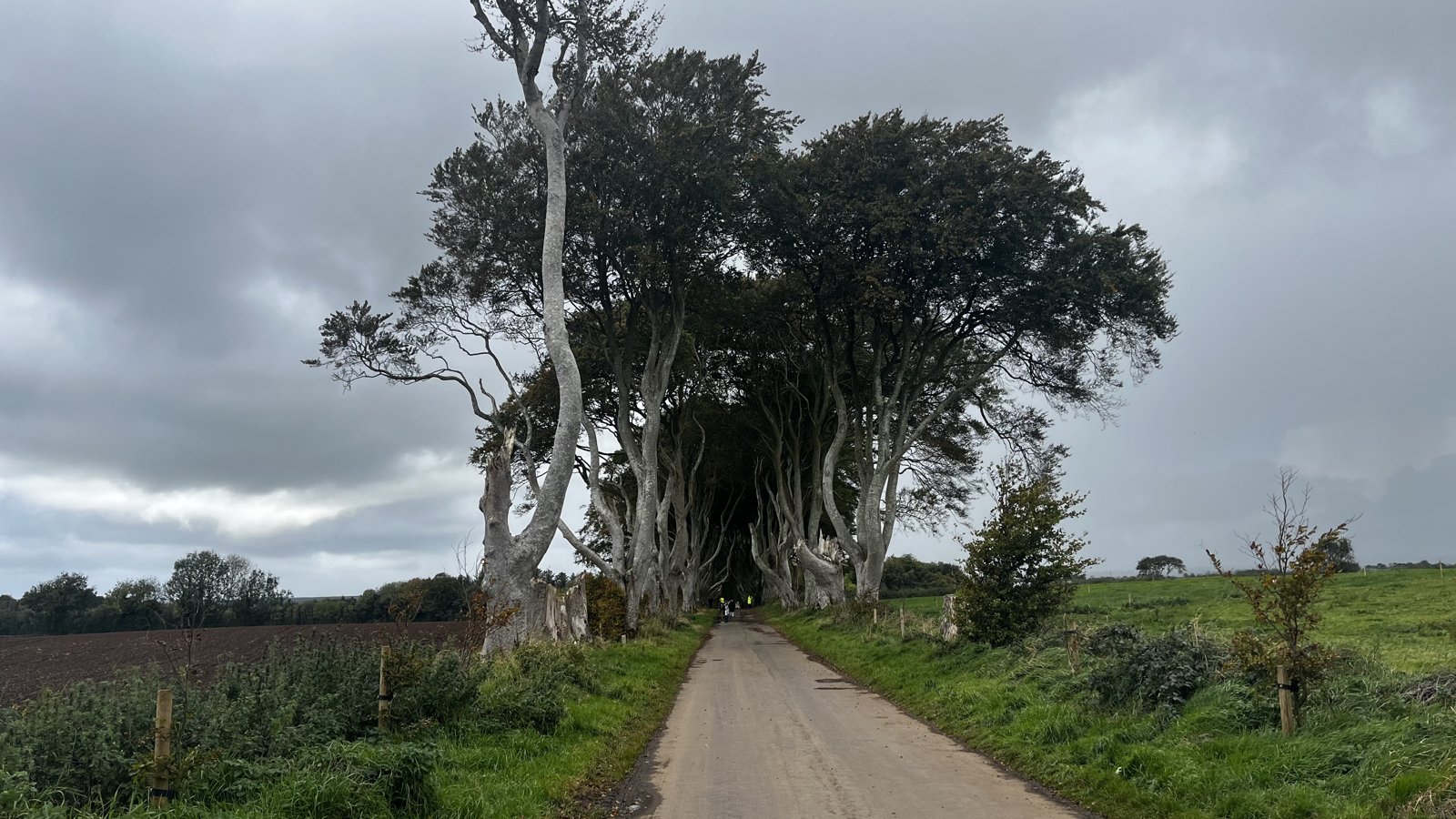 Approach to the Dark Hedges on Bregagh Road