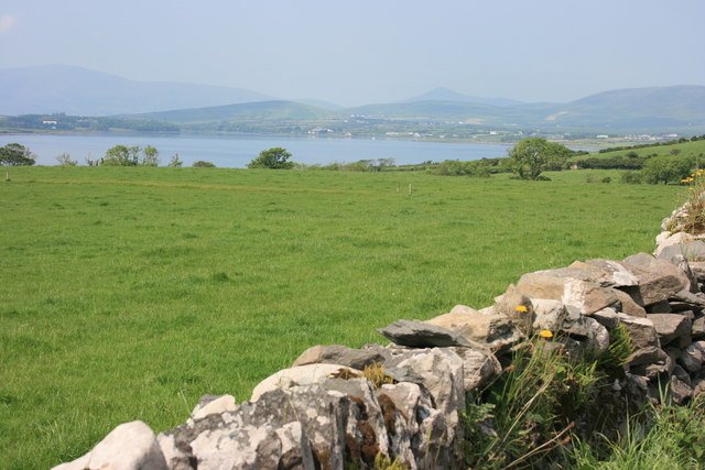 Green fields and stone wall beside Dingle harbor