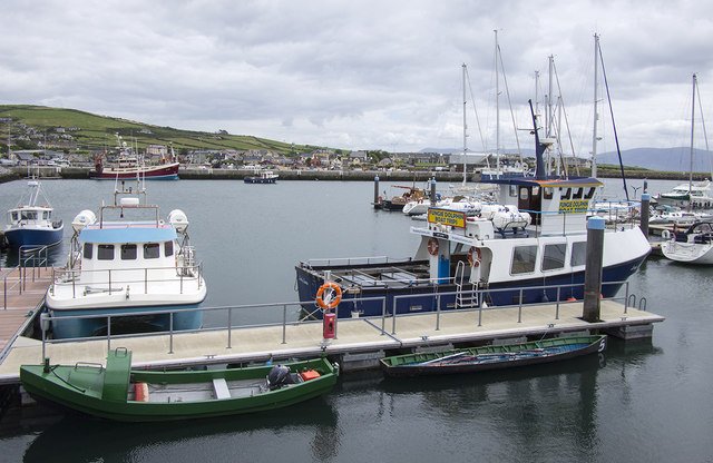 Boats moored at Dingle Marina