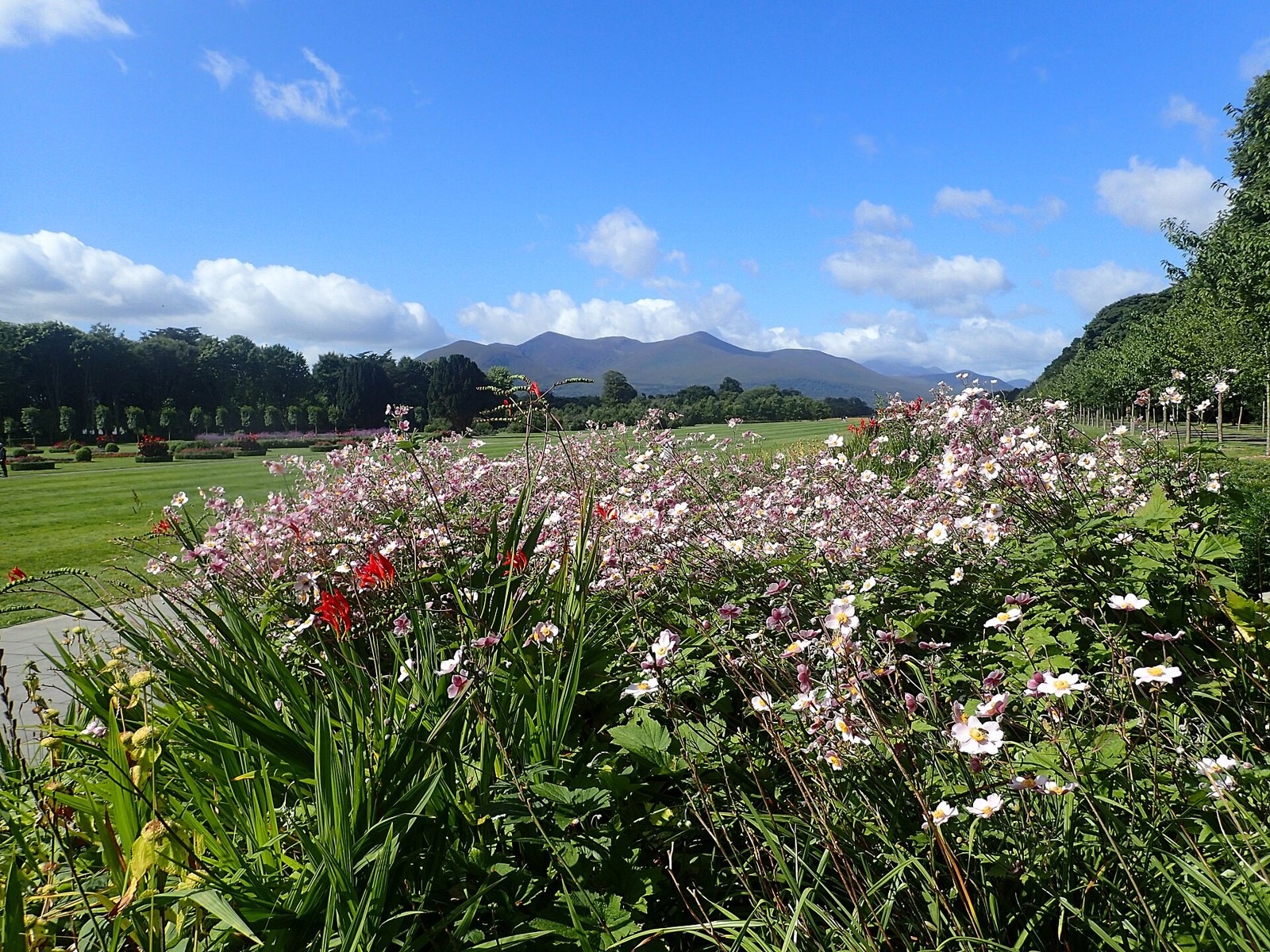 Gardens and mountain views in this best time to visit Killarney National Park guide