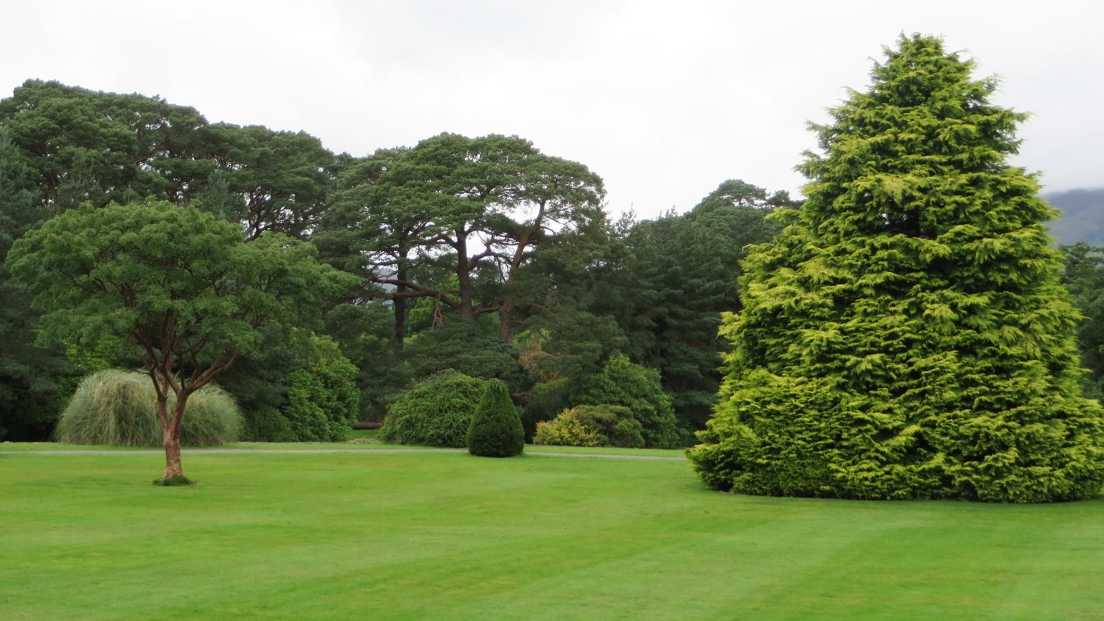 Trees and lawns in Muckross House gardens