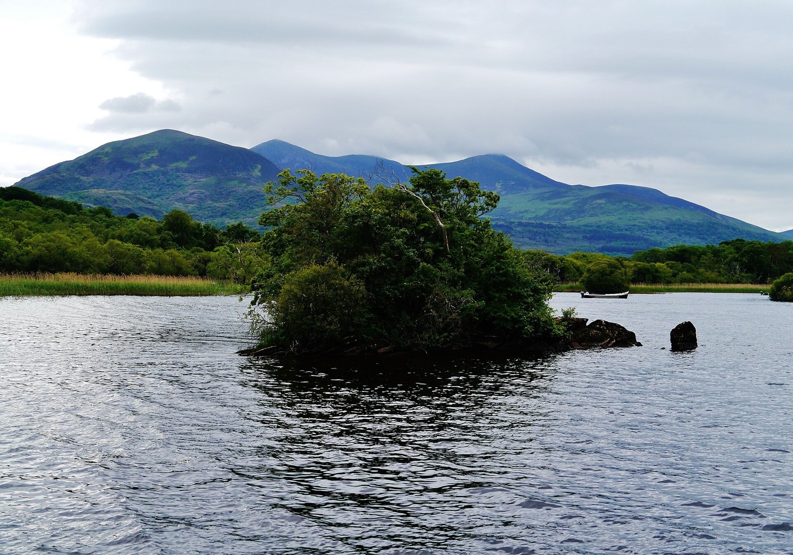 Lough Leane and mountains seen from Ross Castle