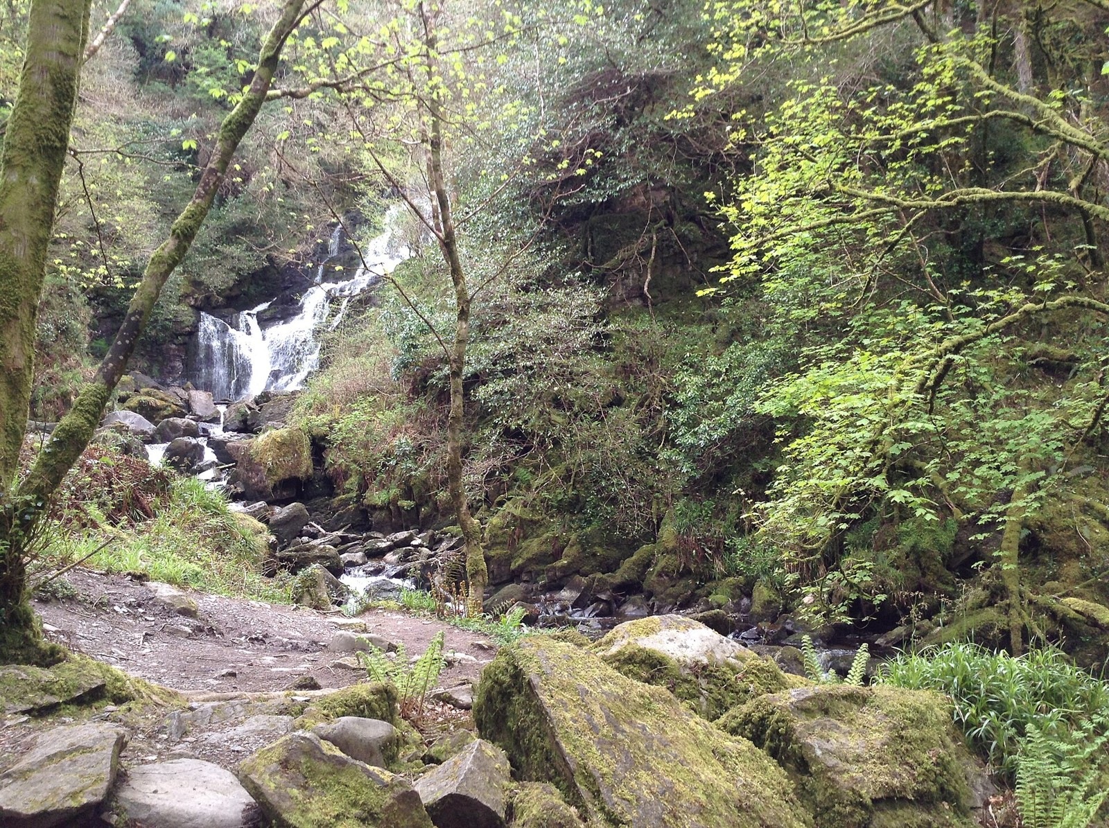 Torc Waterfall among trees and rocks