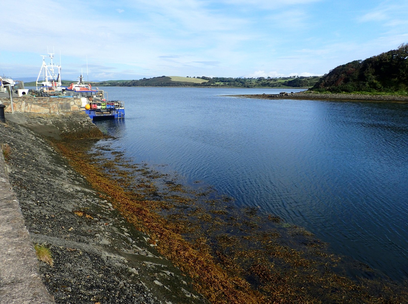 Boats and waterfront at Westport Quay