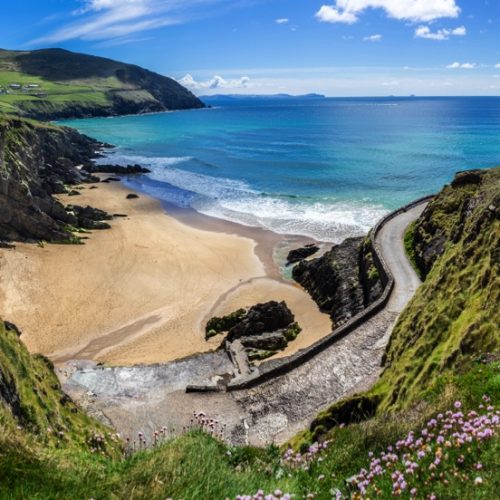 things to do in dingle